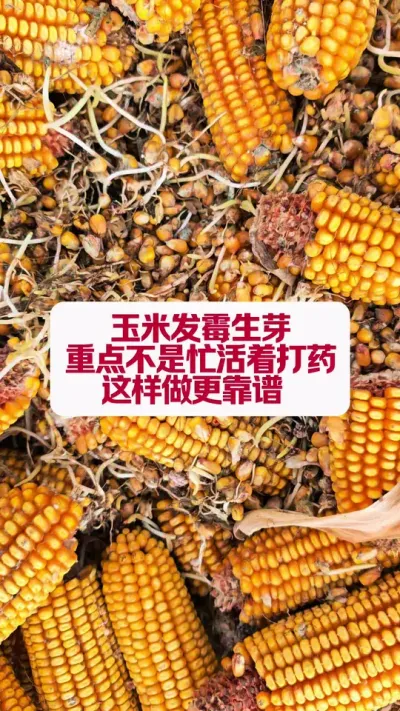 ׷ùѿҪĲǴҩ #ũҵݪֲ #߰ #ũ֧ũ #ݪֲ #ũҵƹ