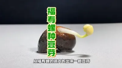 ѻƶڸ #Ӷֳ # #ʵ