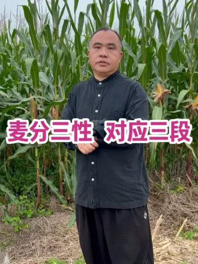  Ӧ ο        һγʵϹһγԣ#ũҵݪֲ