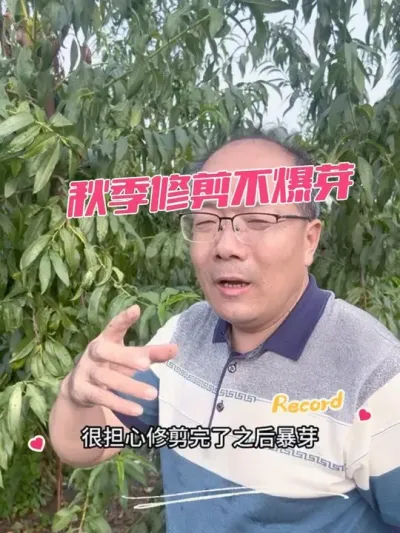 ＾޼ ޼ѿ#޼ #޼֦ #޼