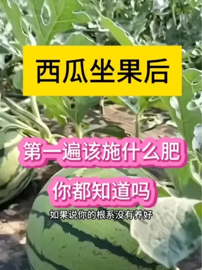 #抖音助农扶农 #抖音三农热点 #种植技术 #助农优品