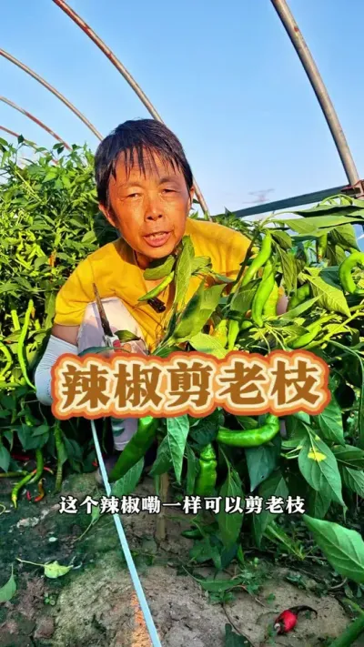 ¸ʪҲԼ֦֦ԺгԲæжɣ# #ũ #߲ #ݪֲС #߲ݪֲ @DOU+С @С @DOU+