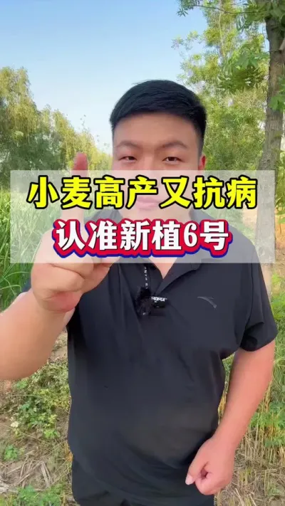 ���С��߲�������׼��ֲ6�ţ� #С��ݪֲ #С��߲�Ʒ�� #��ֲ6��