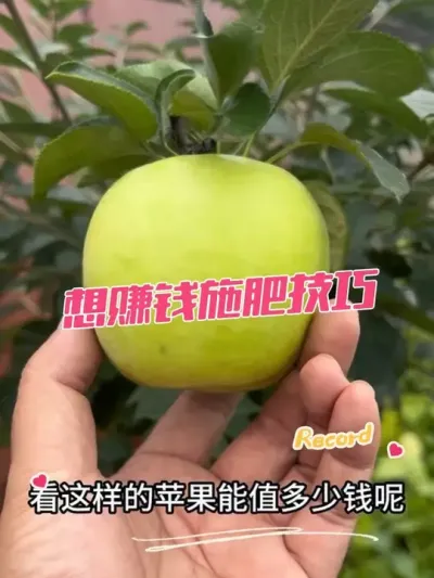 ֹ׬Ǯ ʩʺҪ＾ʩʹ԰ر΢Ԫطһ¾Ϳ#޼#ʩ