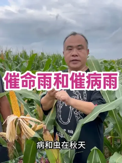 ʹ߲ ɺҲҪС׳ǰ꣡#ũҵݪֲ