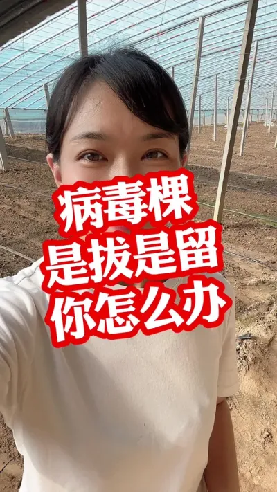 ##ݪֲ##ݪֲС#ҵݪֲ @С  עת