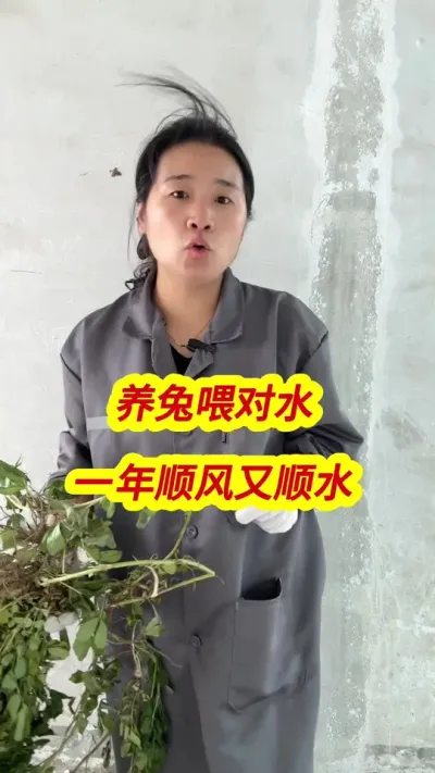 ιˮ˳˳ˮӳɻ߳ԵĻĿ# # #ֳ #ֳ