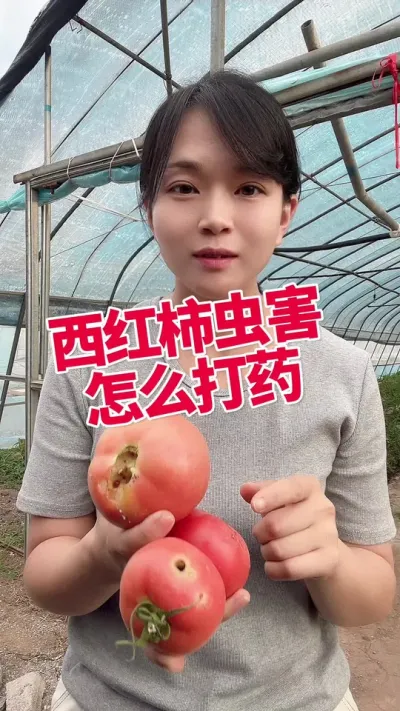 #������ݪֲ#���ĳ�#����������#¶�������� �����ע �໥ѧϰ�� @����С����