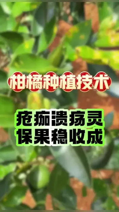 ٲһ#ݪֲ # #ٹ #ٲ #ũҵݪֲ