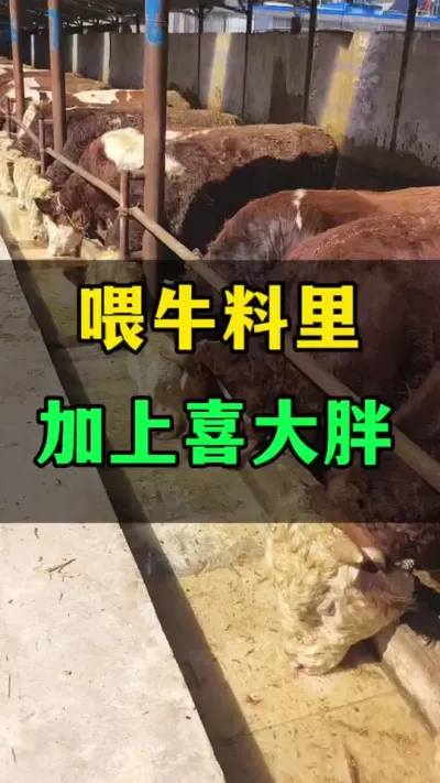 ιţϲִ߷#ţֳ #ţֳ #߷ţ߷