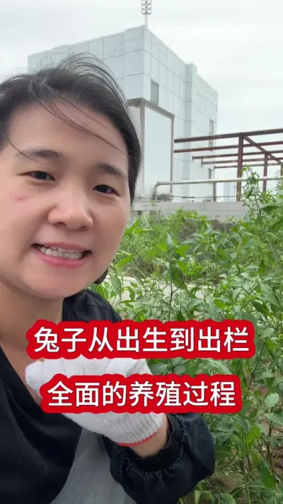 幼兔如何管理，成活高，吃的欢长的快！幼兔开始吃料突然伤亡的最大祸首就是它#养兔 #兔子 #肉兔养殖 #养兔人