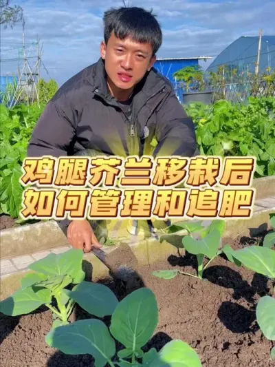 ȽԺô #ݪֲС #ֲ #עһѧֲ #ҵС԰ #ͥݪֲ