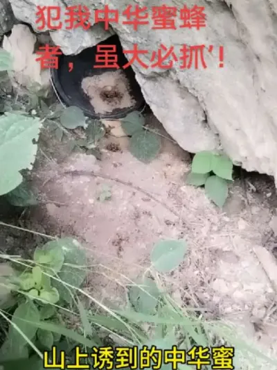 # # #շ#䷭ֳЦ ۷䣺л۷ץ’䣺ȥ˰?@С @DOU+С