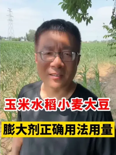 ʲôˮС׼ȷ÷ #ݪֲ #ݪֲ #׸߲ݪֲ #ˮݪֲ #ˮݪֲ