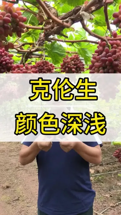 ɫǳԵԭ #ݪֲ #ũ2022 #õ #ݪֲ #ݪֲ