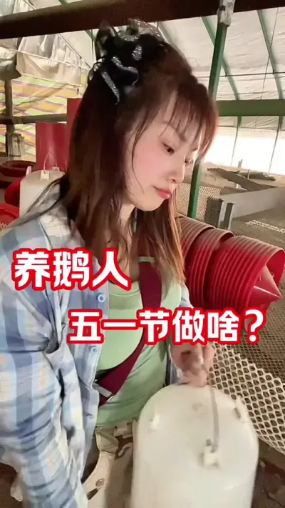 五一节， 养鹅人在干啥？#养鹅人#五一#养殖人加油