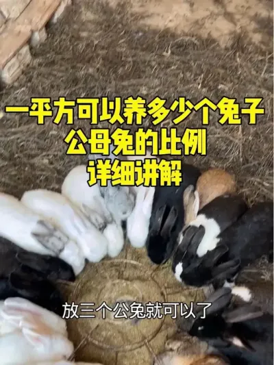 Ҫ͹ĸñ #ѧ #ɢ԰ش # #100ֻҪƽ #ĸ