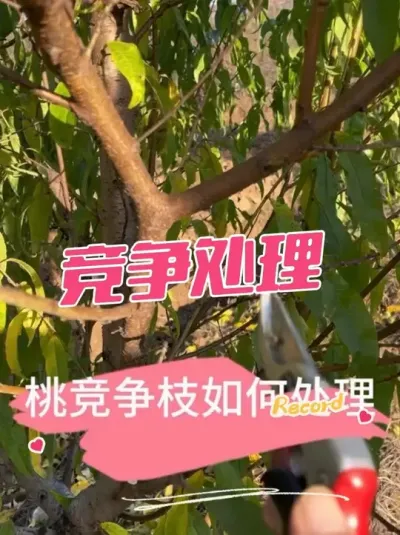 ޼֦óͷ ѧϰĶ޼ѧ֪֦ˡ#޼#޼#޼