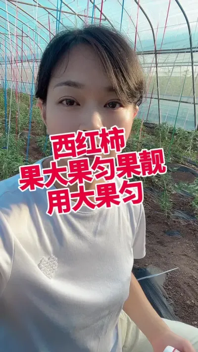 #ݪֲ## #Ҷ#Ҷ СƳµ@С