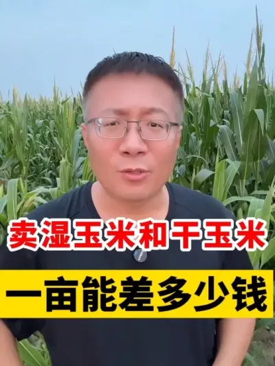 ʪ׺͸һĶܲǮ #׼Ǯ #ũҵ֪ʶũ #ũ֧ũ #ũҵݪֲ #ũ @̷ũʣ