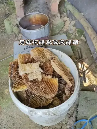 ѷ䳲ɷ Ҫ#շ #ҵ #ũ2025