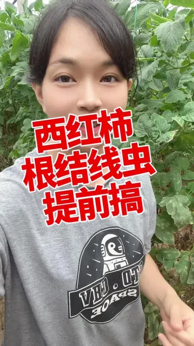 #ݪֲ#߳##ά# ǰԤ߳ Ҫ СƳµ@С