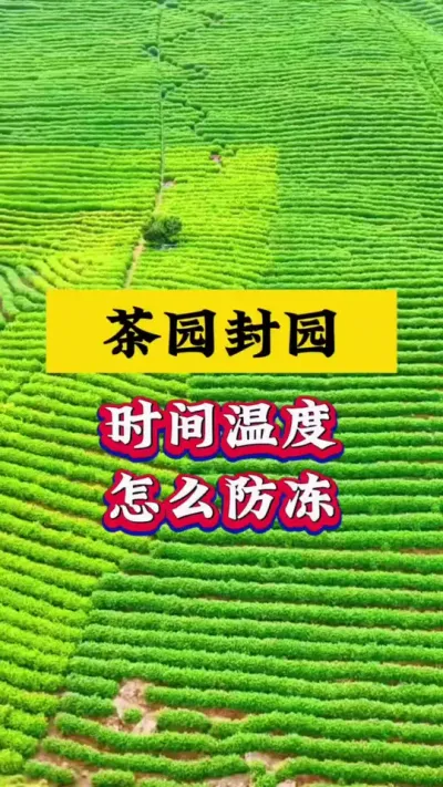 #ũ֧ũ #ݪֲ #԰ #԰