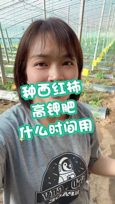 ##ݪֲ##¼ҵݪֲ#߼ط ʲôʱ @С ղת