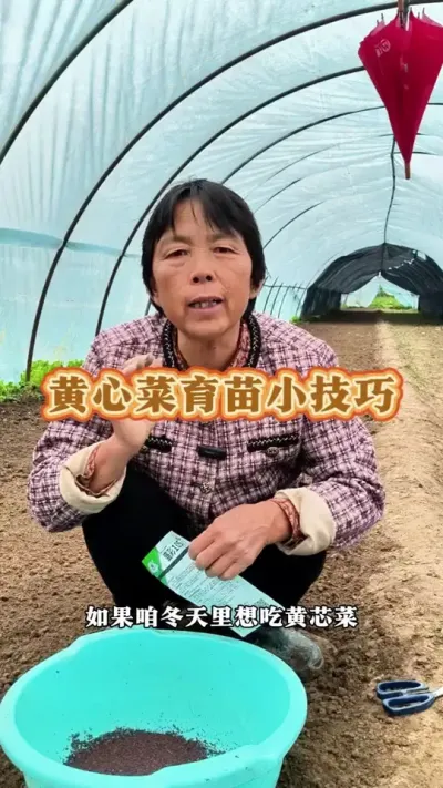 ĲС#ũ #߲ #Ĳ #ݪֲС #߲ݪֲ @DOU+С @С @