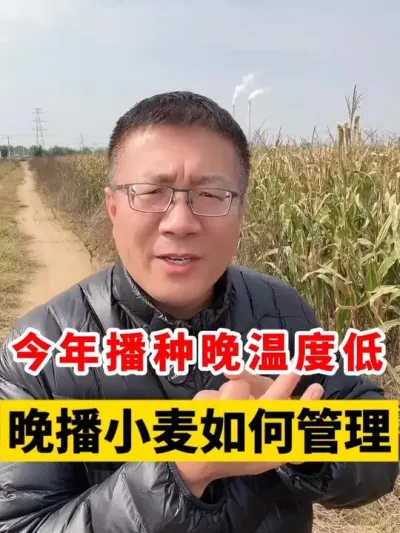 겥¶ȵС #Сݪֲ #Сݪֲ #С߲ #С #С @̷ũʣ