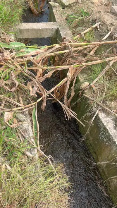 ׵ԵˮһԼ5ص #۾ #۾ # # #ж