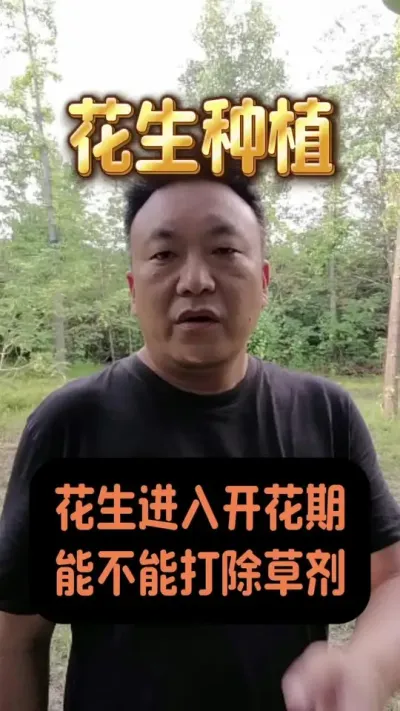 �����Ż����ܲ��ɴ���ݼ���#����ݪֲ #�������ݼ� #�����Ż�������