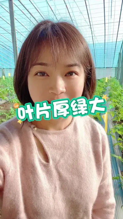 #Ҷ#Ҷ###¼ҵݪֲ СƳµ@С