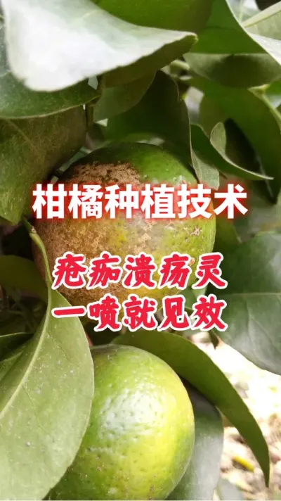 #ݪֲ #ٹ # #ũҵݪֲ #ũ