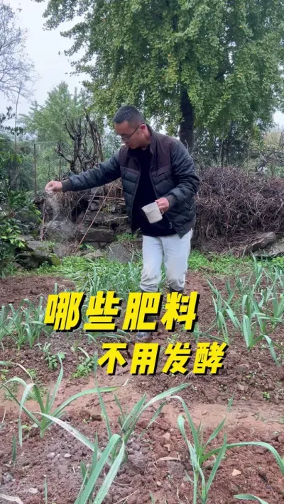 ЩϲطͿֱʹ#ֲС #ݪֲС #ͥݪֲ #ֲ #ѧֲ