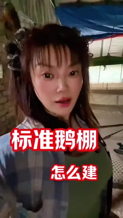 这个鹅棚精妙绝伦🥰#养鹅人 #农村养殖 #农村创业养殖
