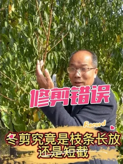 ޼ʧ 00޼йʧ?ô̽Ҫ޼#޼ #޼