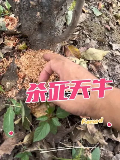 ĳ?ţ ԰е԰е#ţ#ţ׳