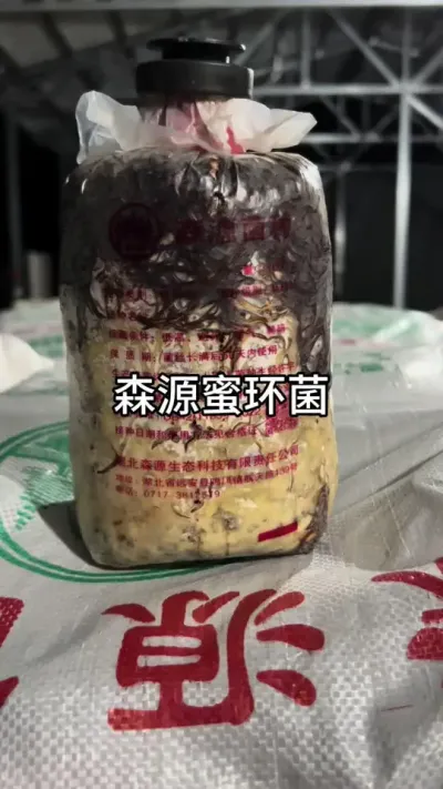 ɭԴۻ #ũ #ݪֲ #ۻ@DOU+С