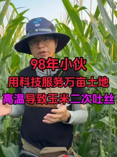 98СÿƼĶ µ׶˿׽סʧ#ڷ #׶˿ #ݪֲ