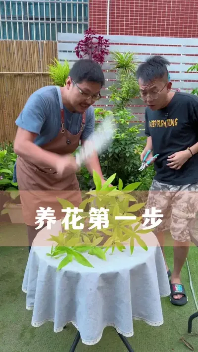 һôҲ#ֲ #С֪ʶ #İ #