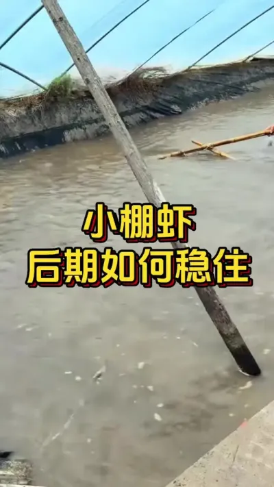 #ĶϺ#οˮ#׶Ϻֳ#СϺ#θ