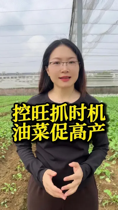 ץʱͲ˴ٸ߲ :1-2 ҶڵͲ翹ҩԲʩ׷ҩ5 ҶںʩЧۿһҪպʱڵ#֮ #ˮݪֲ#߲#ũ#ũ