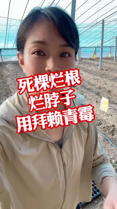 #ù##ݪֲ#΢  #ø  ҪСƳµ@С