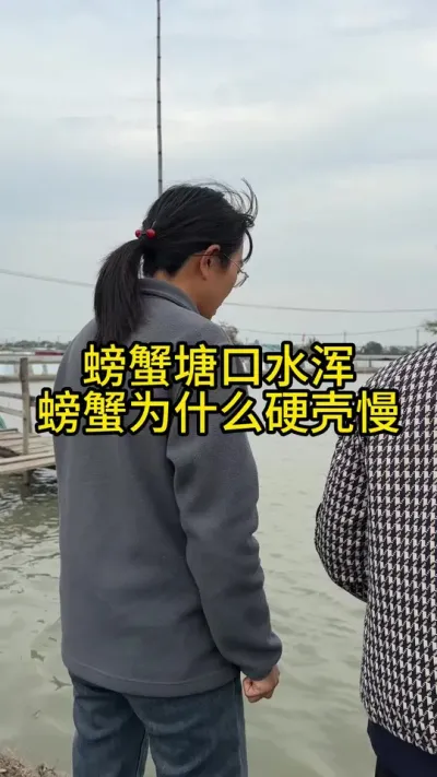 зˮзΪʲôӲ #ֳģʽ #ũ #ˮֳ #ũ2025