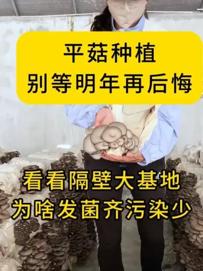 ƽݪֲٺڴعĢΪɶȾյ׾Ѵ#ƽݪֲ # #ִ