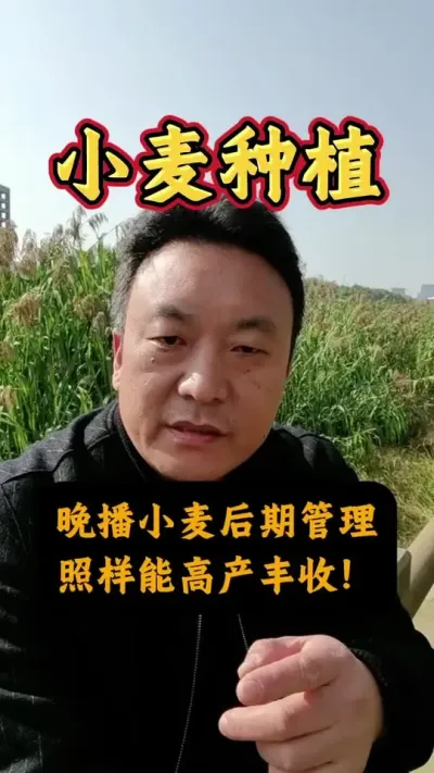 СҪҲܸ߲գ#Сݪֲ #С