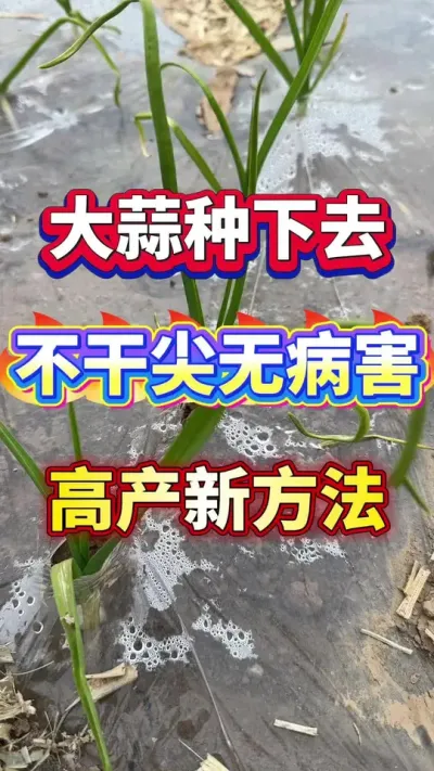 ݪֲ޲#ݪֲ #ⲡ #߲