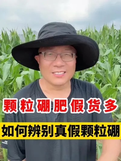 ƷҪٿ # #Сݪֲ #Сݪֲ #С߲ #С