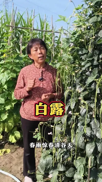 ʮĽ¶#ũ #ʮĽ #¶ #߲ #ݪֲС @DOU+ @DOU+С @С